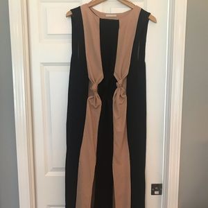 Zara Striped Black and Tan dress